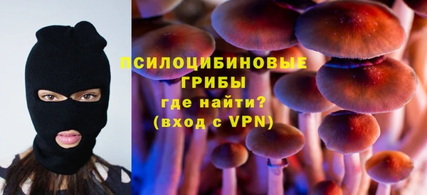 ПСИЛОЦИБИНОВЫЕ ГРИБЫ Бородино