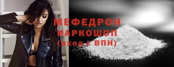 индика Володарск