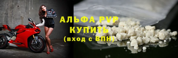 ПСИЛОЦИБИНОВЫЕ ГРИБЫ Бородино
