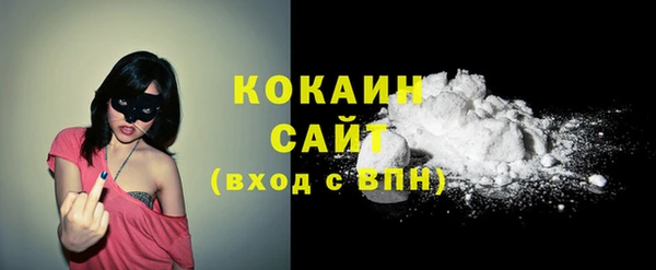 индика Володарск