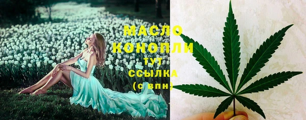 индика Володарск