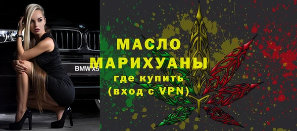 индика Володарск