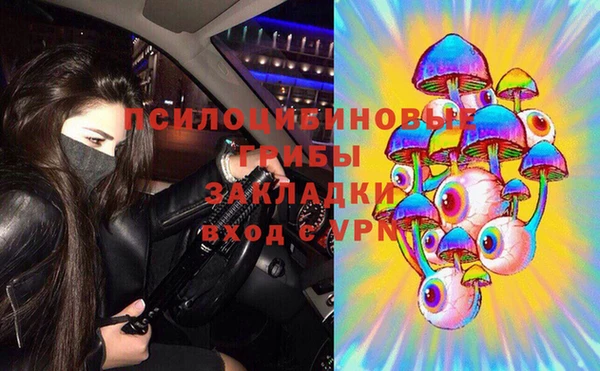ГАЛЛЮЦИНОГЕННЫЕ ГРИБЫ Бугульма