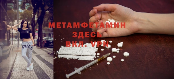 индика Володарск