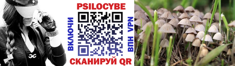 Псилоцибиновые грибы мухоморы  Купить закладки  Мураши 